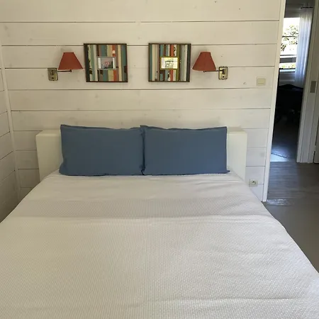 Pyla-sur-mer Charmante Maison 3 Et Jardin Proche Plages Prázdninový dům