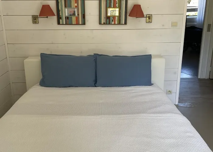 Pyla-sur-mer Charmante Maison 3 Et Jardin Proche Plages Tatil Evi
